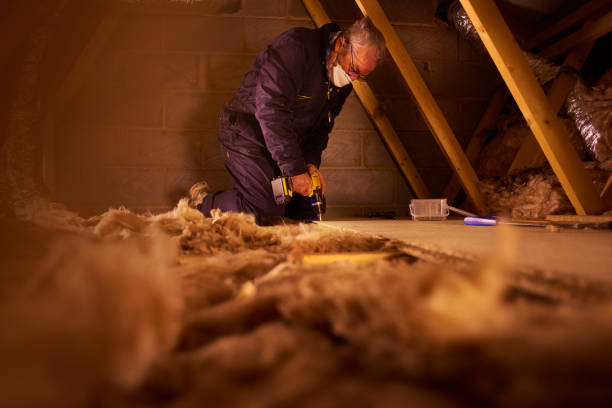 Types of Insulation We Offer in Chicago Heights, IL
